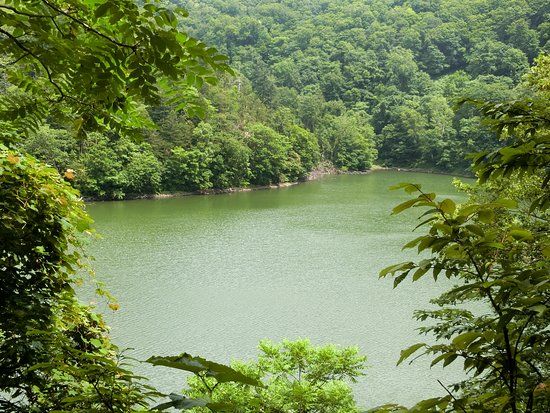 Lake Hangetsu Nature Park